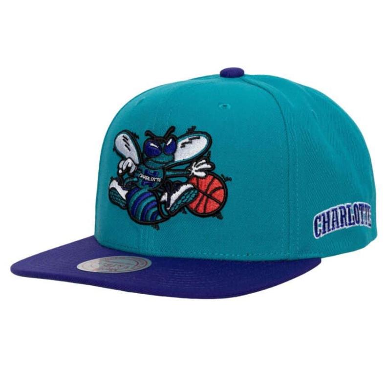 charlotte hornets snapback mitchell and ness