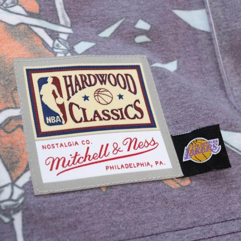 Men's Mitchell & Ness Purple Phoenix Suns Hardwood Classics Big Face 2.0  Shorts 